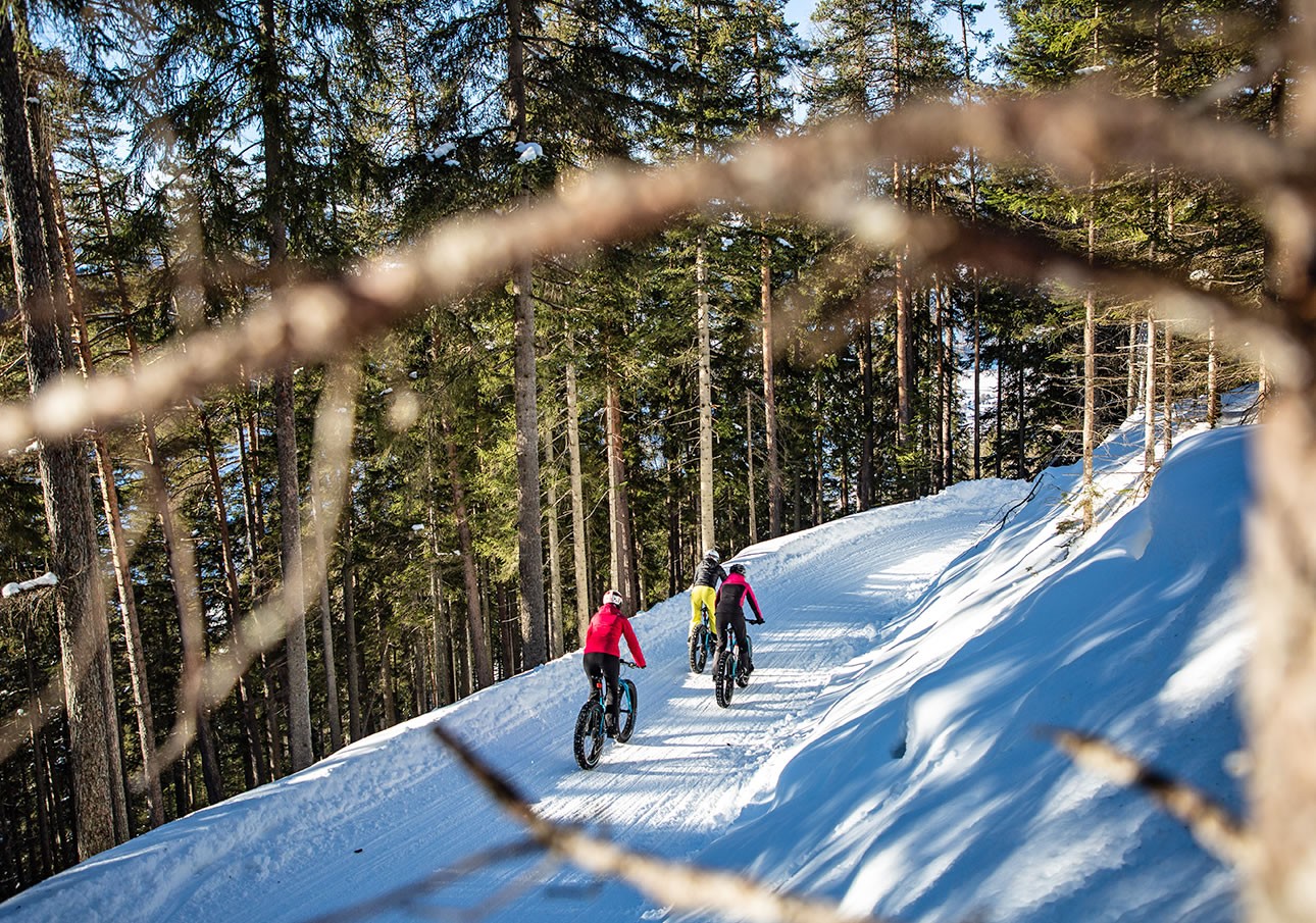Fatbikes ride through a snowy forest trail on fat-tire bikes