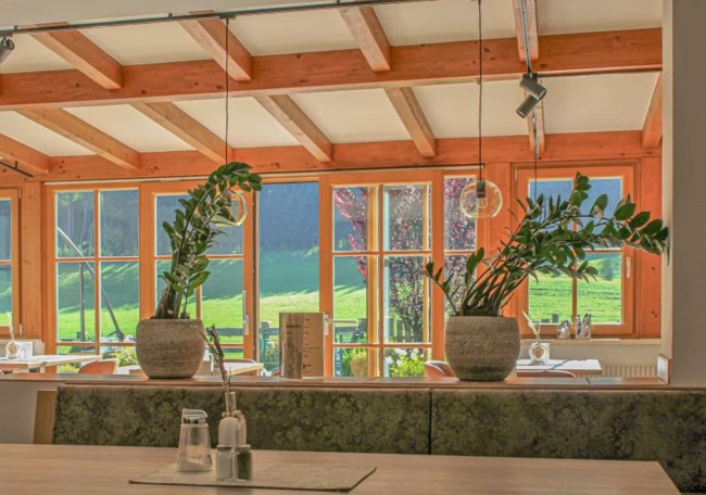 Sunlit dining area with large windows and potted plants on the table